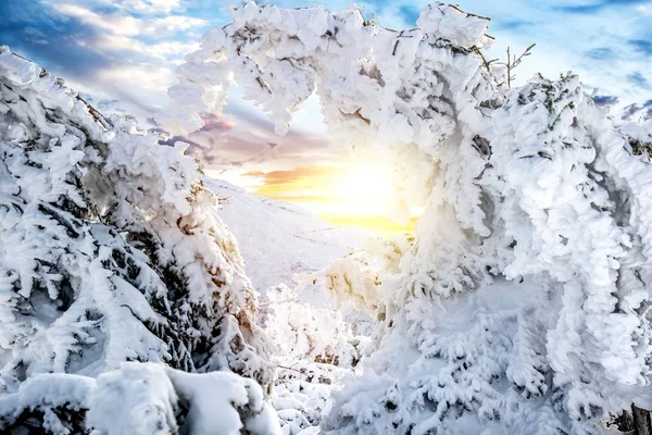 Vinterlandskap Vid Solnedgången Polen Vinterlandskap Vid Solnedgången Polen Fantastiskt Vinterlandskap — Stockfoto