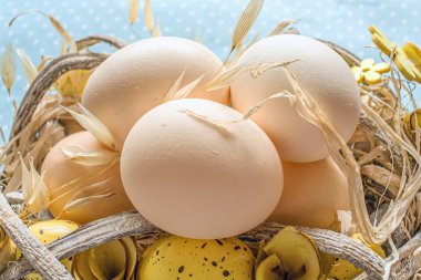 Paskalya yumurtaları. Din ziyafeti. Yuvadaki tavuk yumurtaları