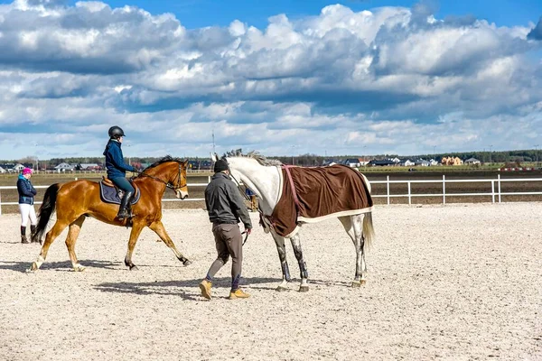 Djur För Resa Hästsportdetaljer Jockey Och Hans Häst — Stockfoto