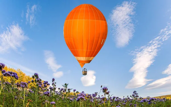 Barevný Balón Nad Květinovými Poli Modrým Pozadím Oblohy — Stock fotografie