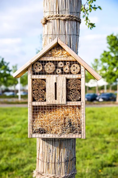 Insect hotel . Insect hotel in park. Natural scene.