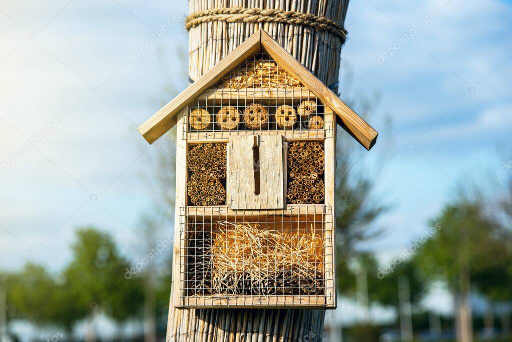 Insect hotel . Insect hotel in park. Natural scene.