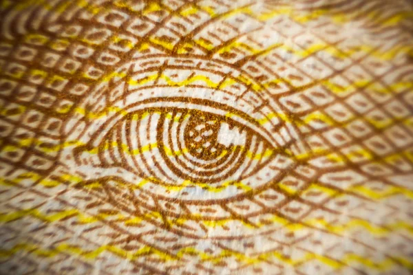 para banknot makro closeup Ukrayna ünlü halkın gözünde değer para değişimi vurdu.