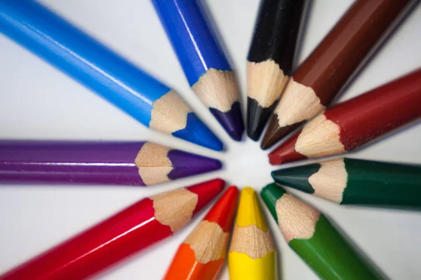 Beyaz zemin üzerinde bir dairede ahşap renkli boya kalemi kalem