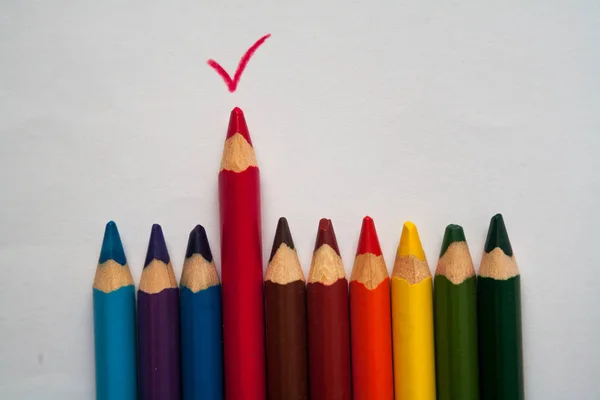 Beyaz arka plan üzerinde ahşap renkli boya kalemi kalem kırmızı kene