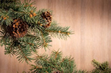 Noel ağacı ve Noel dekorasyonu topları ile kompozisyon, 