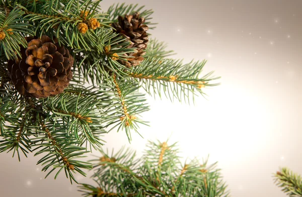 Composição com árvore de Natal e bolas de decoração de Natal , — Fotografia de Stock