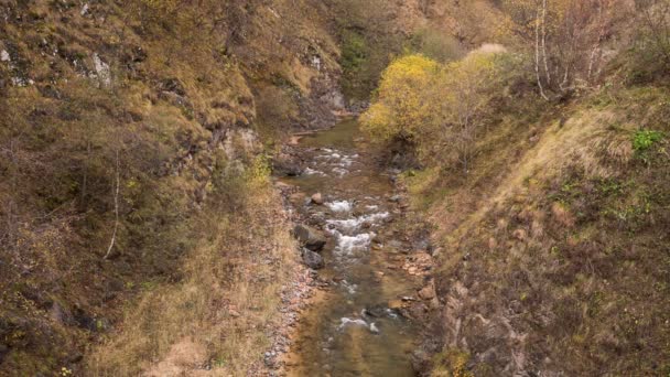 The first snow and yellow leaves on the banks of the river in the mountains of the Caucasus. — Stock Video