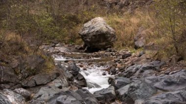 İlk kar ve sarı yaprakları Kafkasya dağlarında Nehri üzerinde.