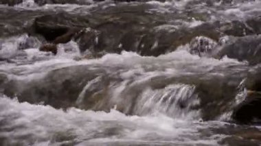 İlk kar ve sarı yaprakları Kafkasya dağlarında Nehri üzerinde.