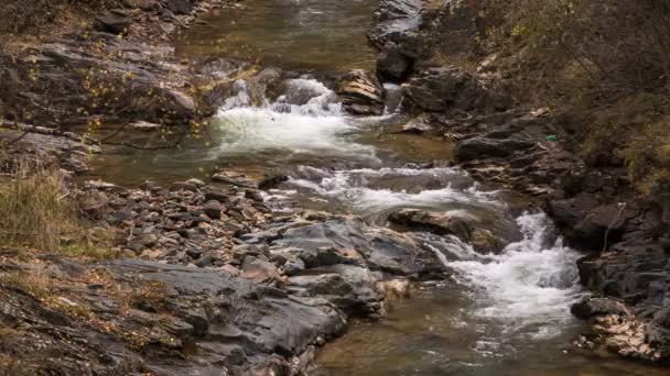 La prima neve e foglie gialle sulle rive del fiume nelle montagne del Caucaso . — Video Stock