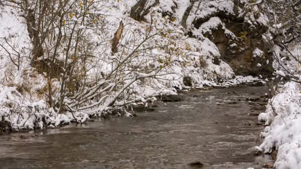 Les premières neiges et feuilles jaunes sur les rives de la rivière dans les montagnes du Caucase .