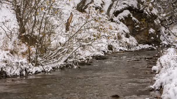 De eerste sneeuw en gele bladeren aan de oevers van de rivier in de bergen van de Kaukasus. — Stockvideo