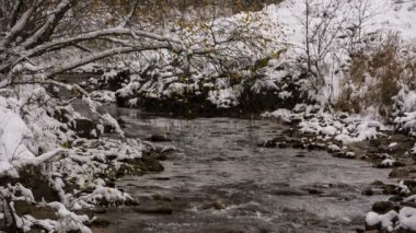 İlk kar ve sarı yaprakları Kafkasya dağlarında Nehri üzerinde.