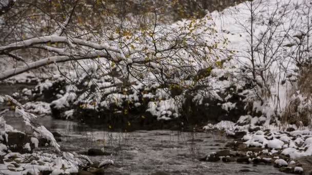 Les premières neiges et feuilles jaunes sur les rives de la rivière dans les montagnes du Caucase . — Video