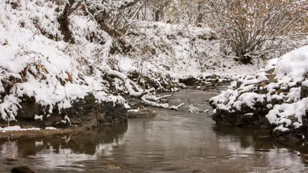 De eerste sneeuw en gele bladeren aan de oevers van de rivier in de bergen van de Kaukasus. — Stockvideo