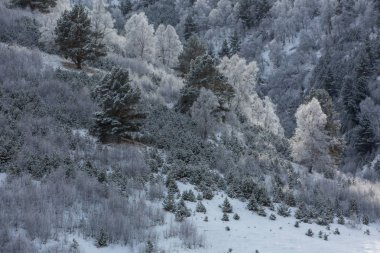  Kafkas Dağları, Kabardey-çatışmalar işgalciler. Huş ağaçları dağlarda hoarfrost.