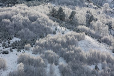  Kafkas Dağları, Kabardey-çatışmalar işgalciler. Huş ağaçları dağlarda hoarfrost.