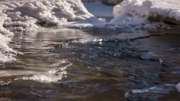 Schnee und Eis am Ufer eines Gebirgsflusses mit kristallklarem Wasser im Kaukasus — Stockvideo