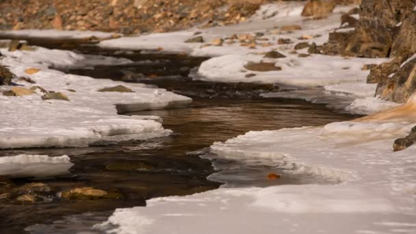 Nieve y hielo a orillas de un río de montaña con aguas cristalinas en las montañas del Cáucaso . — Vídeo de stock