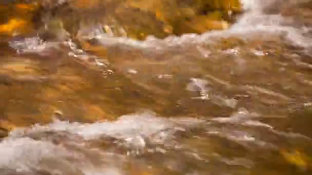 コーカサス山脈でクリスタル クリアな水と山川のほとりに雪氷. — ストック動画