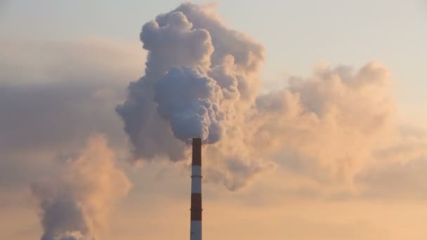 Clouds of steam cogeneration plant over winter evening at sunset. — Stock Video