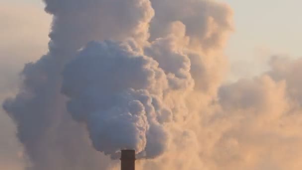 Nuages de la centrale de cogénération de vapeur pendant la soirée d'hiver au coucher du soleil . — Video
