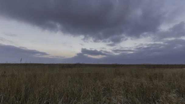 Gyors mozgás a téli vihar felhők át a sztyeppén a Don. — Stock videók