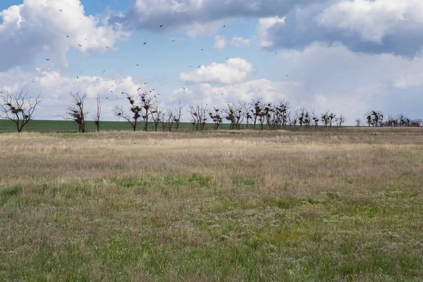 Rusland. Rostov regio. Wolken boven de steppe. — Stockfoto