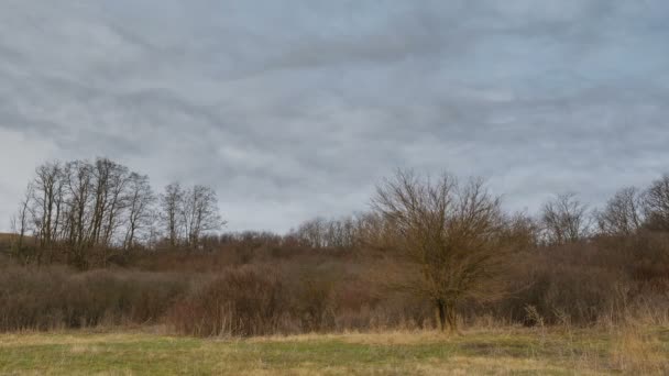 Snelle beweging van winter storm wolken over de steppen van de Don. — Stockvideo