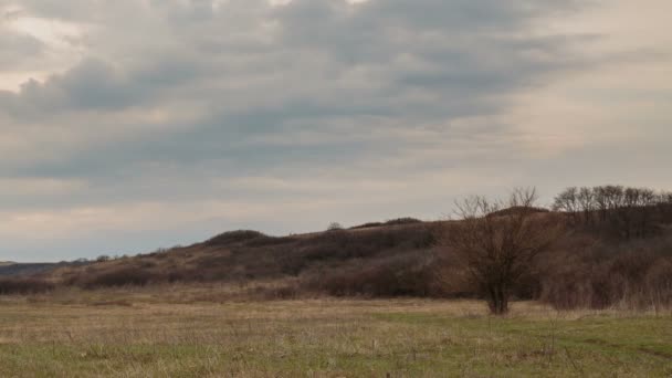 Movimento rápido de nuvens de tempestade de inverno sobre as estepes do Don . — Vídeo de Stock