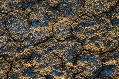 Dr kırık var toprak yüzeyinden doku