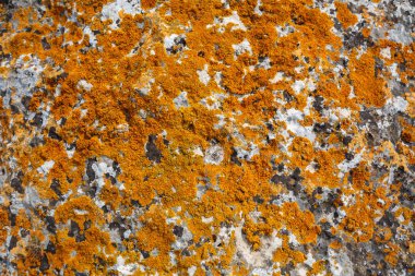 Arka plan özellikleri. Taş yakın çekim renkli lekeler ile doku 