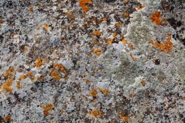 Arka plan özellikleri. Taş yakın çekim renkli lekeler ile doku 