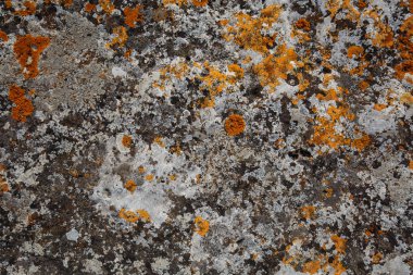 Arka plan özellikleri. Taş yakın çekim renkli lekeler ile doku 