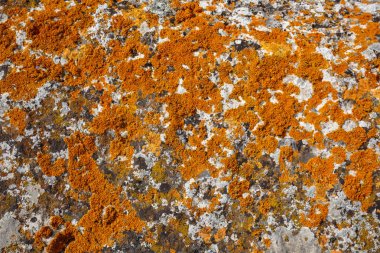 Arka plan özellikleri. Taş yakın çekim renkli lekeler ile doku 