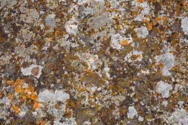 Arka plan özellikleri. Taş yakın çekim renkli lekeler ile doku 