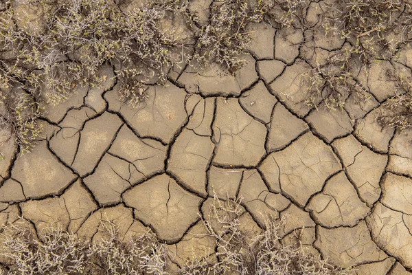 La textura de la superficie de la tierra que se ha agrietado del dr. —  Fotos de Stock