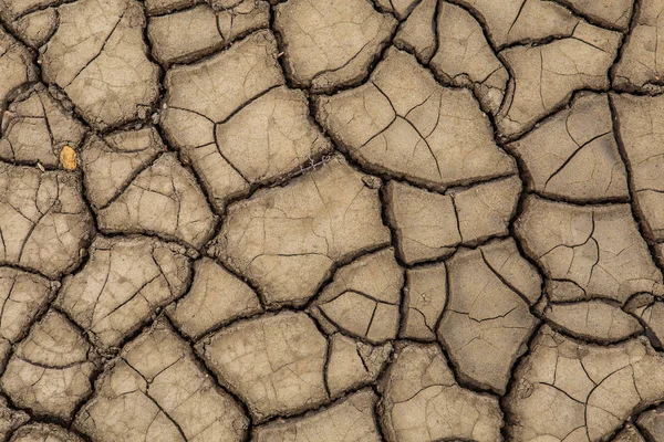 Текстура поверхні землі, яка тріснула від д-ра — стокове фото