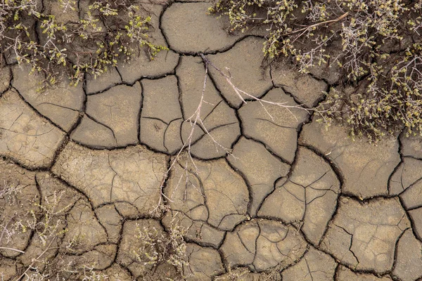 A textura da superfície da terra que rachou a partir de dr — Fotografia de Stock