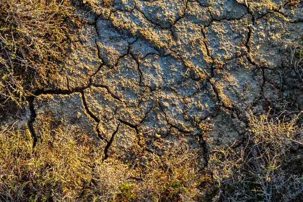 De textuur van het oppervlak van de aarde die heeft gekraakt uit dr — Stockfoto