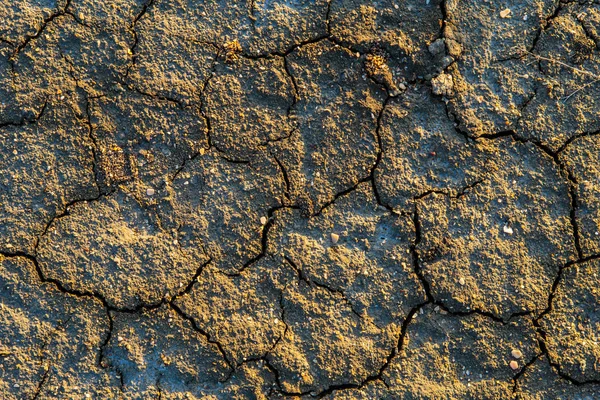 박사에서 금이 지구의 표면의 질감 — 스톡 사진
