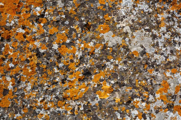 Achtergrondpatronen. Stone texture close-up met kleurrijke stippen — Stockfoto