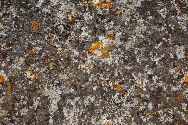 Achtergrondpatronen. Stone texture close-up met kleurrijke stippen — Stockfoto