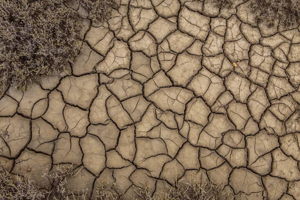 Текстура поверхні землі, яка тріснула від д-ра — стокове фото
