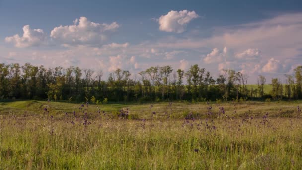 Mouvement rapide des nuages au printemps sur les champs de blé dans les steppes infinies du Don . — Video