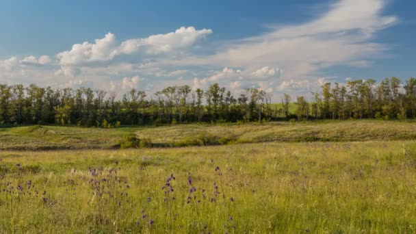 Snelle beweging van wolken in het voorjaar over tarwe velden in de eindeloze steppes van de Don. — Stockvideo