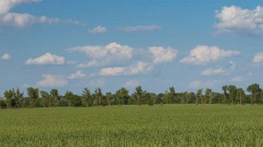  Don sonsuz bozkırlarında buğday alanları üzerinde bahar bulutlar hızlı hareket.