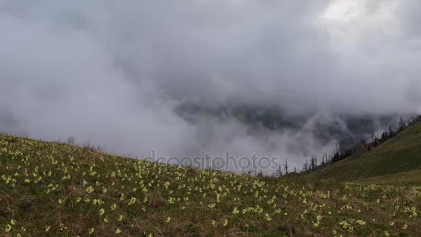 Rusland Time Lapse Verkeer Van Wolken Water Stroomt Een Onstuimige — Stockvideo