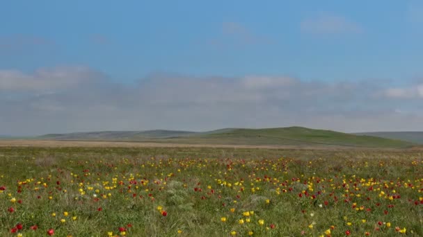 Rusland Time Lapse Verkeer Van Wolken Water Stroomt Een Onstuimige — Stockvideo